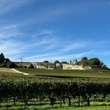 فيلة L'escapade D'emilion Naujan-et-Postiac