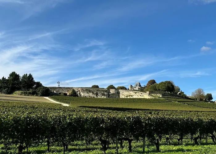 Vila L'escapade D'emilion Naujan-et-Postiac