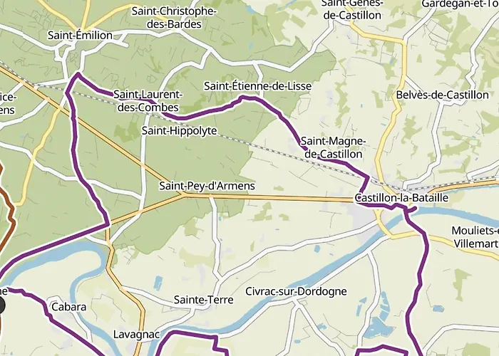 Villa L'escapade D'émilion *